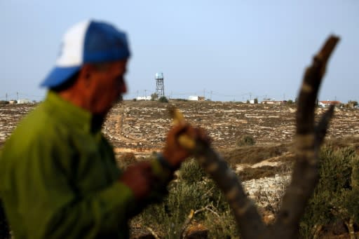 More than 7,000 Palestinian-owned trees have been vandalised so far this year, according to the United Nations