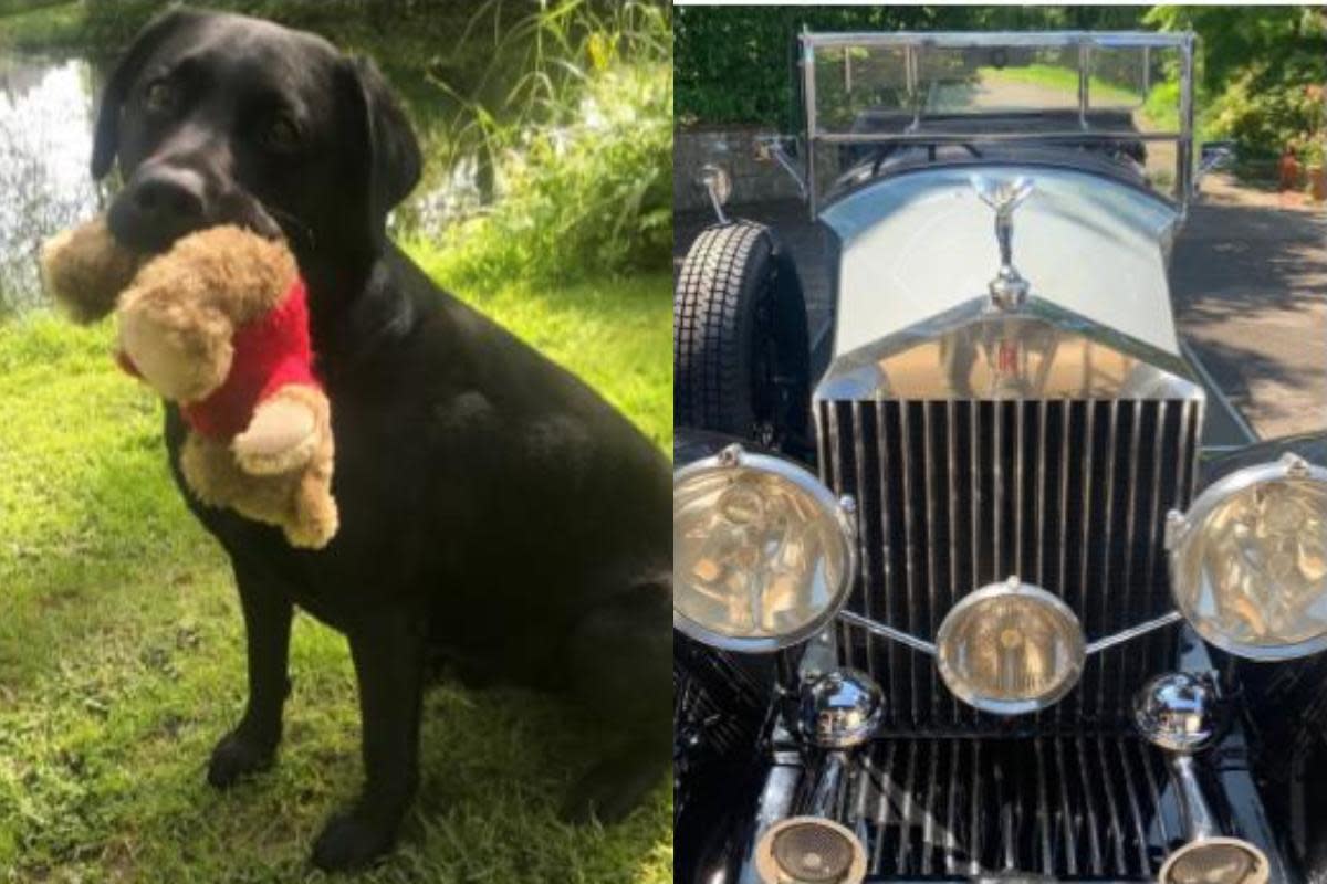 Cars will be on show, as well as a dog show <i>(Image: Adwell Vintage Vehicle Show)</i>