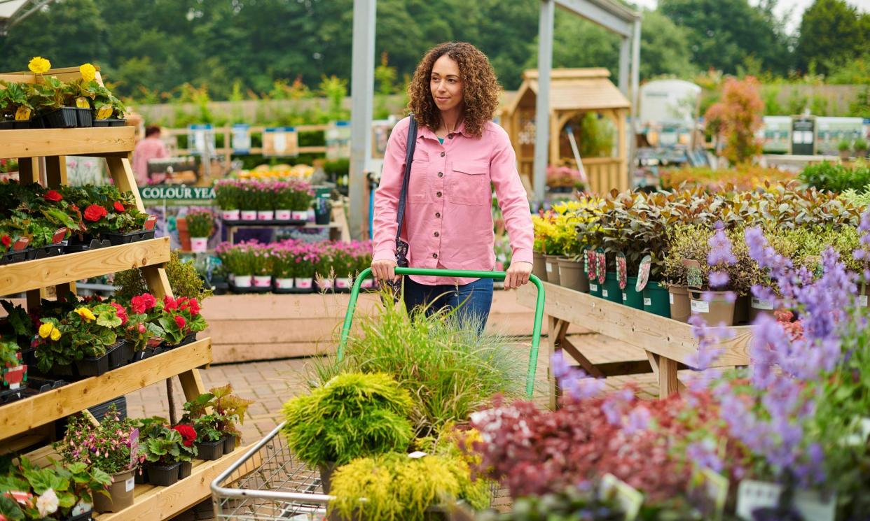 <span>The government will introduce new physical checks for some plants coming into Britain from the EU on 30 April.</span><span>Photograph: sturti/Getty Images</span>