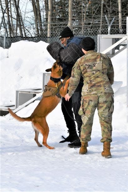 Cleveland Browns running back/receiver Demetric Felton Jr. meets a member of the K-9 unit during an NFL-USO trip to Alaska in 2022.