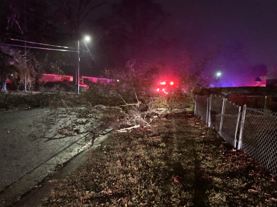 Tree limbs fell on Racine Avenue near Vienna Avenue. (Chad Petri, WKRG News 5)