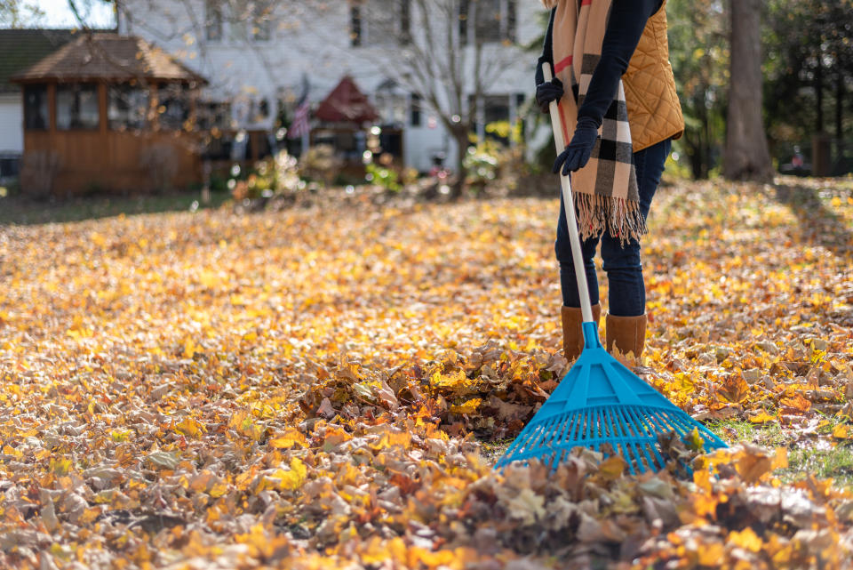 Es gibt so Einiges im Garten, das man im Herbst noch erledigen sollte (Symbolbild: Getty Images)