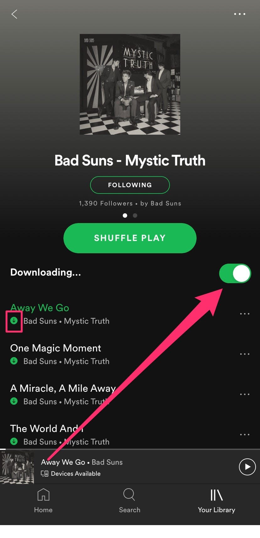 How to download music from Spotify