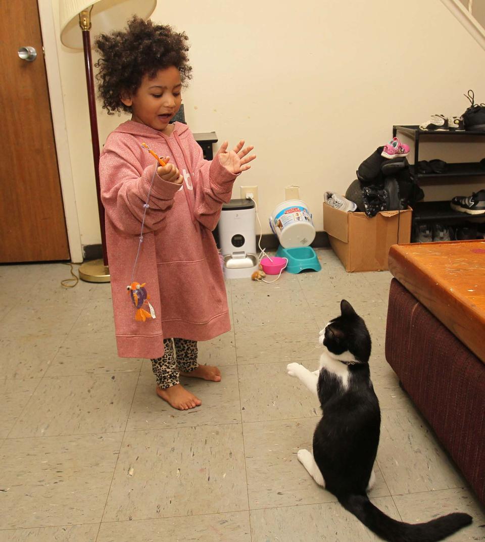 Luna, the daughter of Jasmine Kirk, plays with her cat, BMO, in their home in Akron.