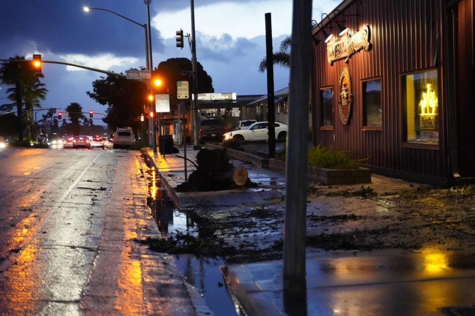 A tree fell at Majestic Tile and Flooring in Grover Beach around 4 p.m., but was cleaned up for free by Mike Leon, who was in town at the time with his tree care tools. John Lynch /jlynch@thetribunenews.com