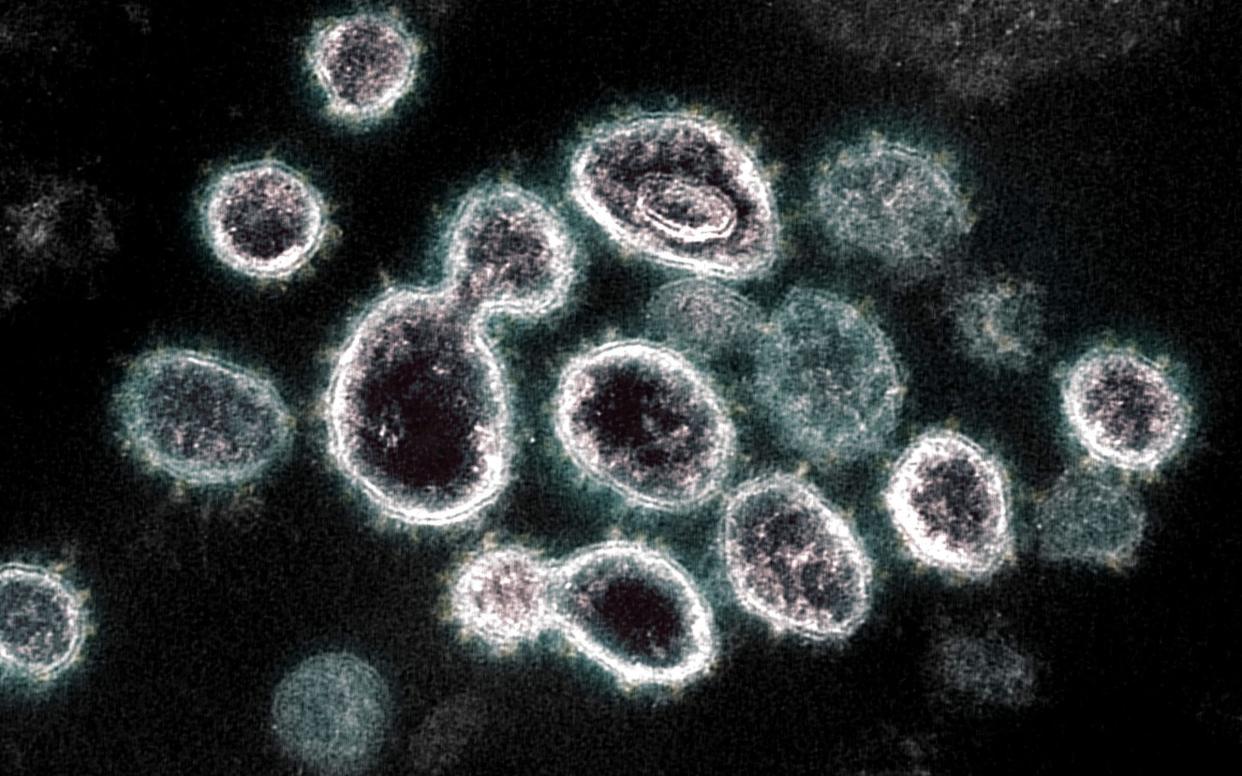 Coronavirus