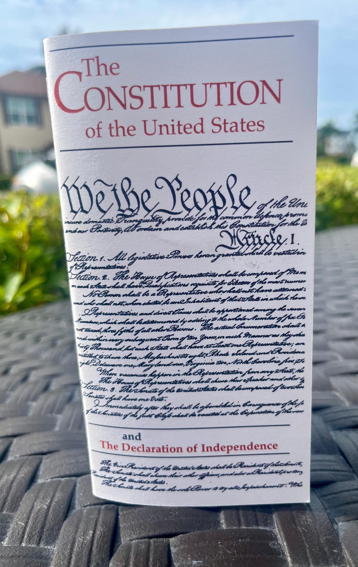 The Bill of Rights in the U.S. Constitution are the first 10 amendments, among them being the freedom of religion, speech, the press, assembly; the right to bear arms; protection against unreasonable search and seizure; the right to a speedy and public trial.