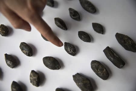 Sling stones, uncovered by Israeli archaeologists at a site that they say contains the remnants of an ancient Greek fortress, are displayed in Jerusalem November 3, 2015. REUTERS/Ronen Zvulun