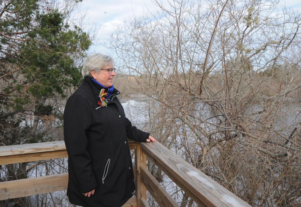 Sue Sullivan, director of communications for the Barnstable Land Trust, stands at the observation deck in the Pogorelc Sanctuary in West Barnstable, behind the trust's conservation center. Sullivan first suggested the idea of a Cape-wide First Day Hikes program.