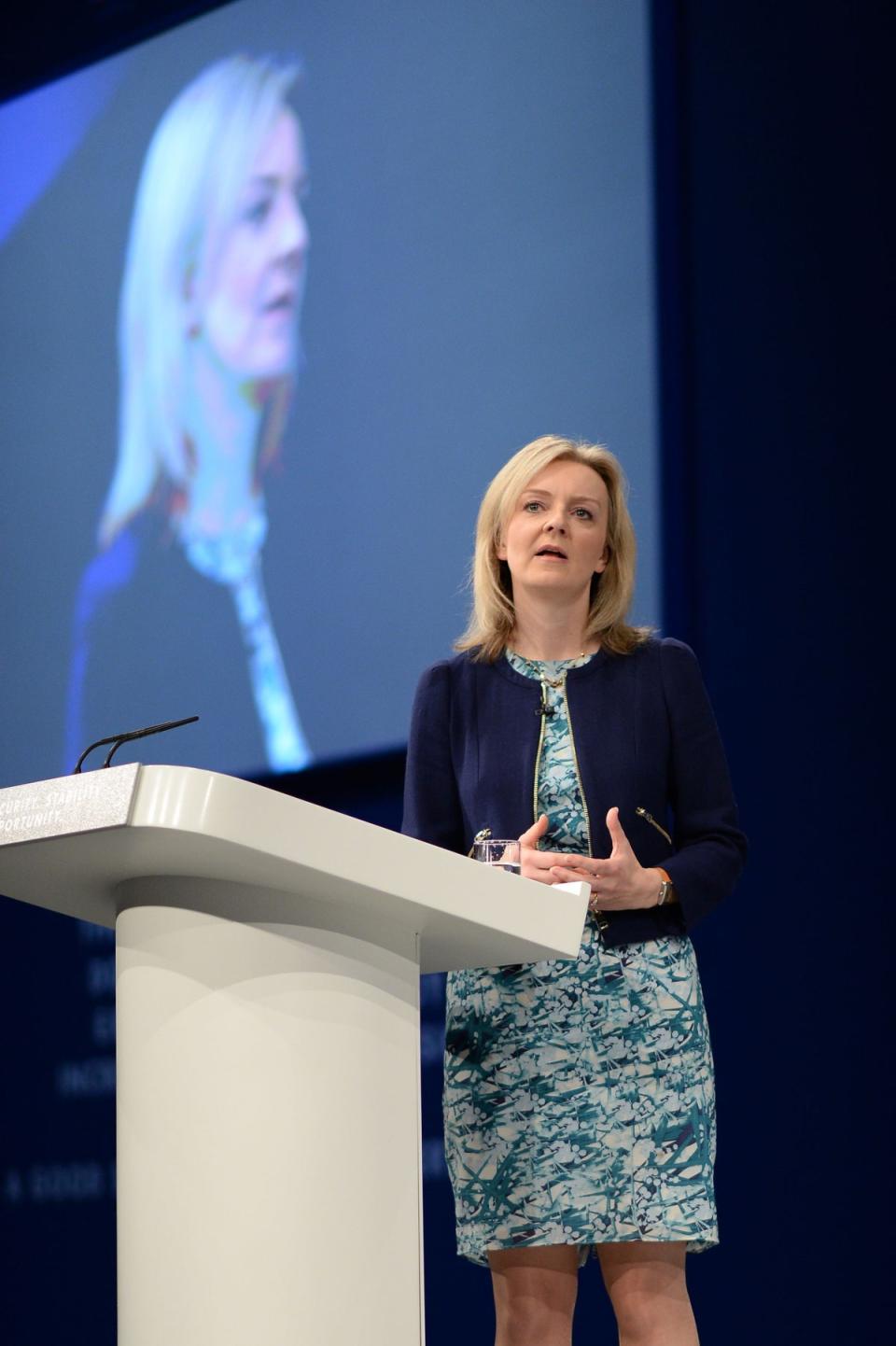 Liz Truss, Secretary of State for Environment, Food and Rural Affairs addresses the Conservative Party conference in Manchester (Stefan Rousseau/PA) (PA Archive)