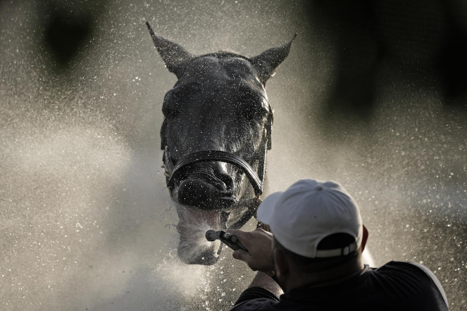 Kentucky Derby entrant Grand Mo The First gets a bath after a workout at Churchill Downs in Louisville, Ky., May 2, 2024. (AP Photo/Charlie Riedel)