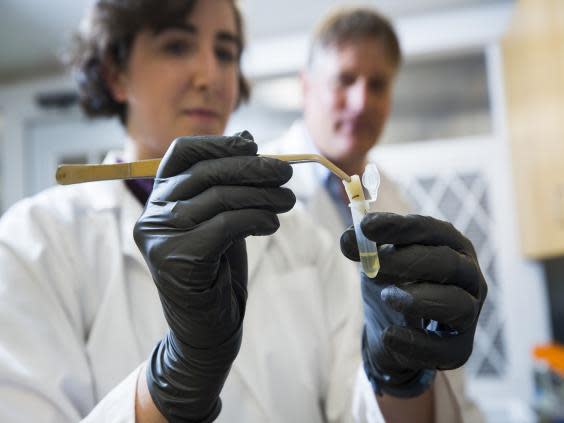 Ruppert pulls an environmental DNA filter out of a test tube for genetic sequencing in a university lab (Erich Schlegel for The Washington Post)