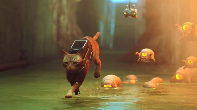 Stray Cat Video Game Gets Movie From Annapurna