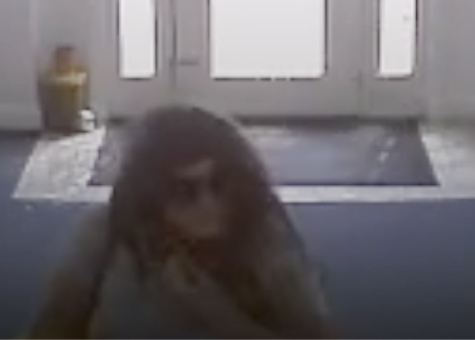 Video surveillance from McCarty's Diamonds & Fine Jewelry on South Red Bank Road shows Vicky White in sunglasses and a wig purchasing a 2007 Cadillac DTS for $9,000 cash from the owner in Evansville, Ind., on May 3 2022.