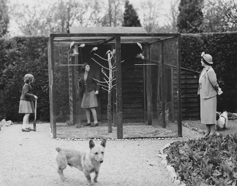 <p>Accompanied by their mother and numerous pet dogs, Princess Margaret and Princess Elizabeth are seen visiting the royal family's aviary, which is kept on the grounds of the Royal Lodge at Windsor. </p>