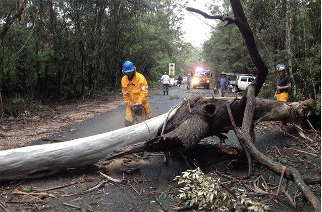 Emergency crews clear roads in Springbrook where gusting winds have caused trees to fall. Picture: Queensland Fire and Emergency Services