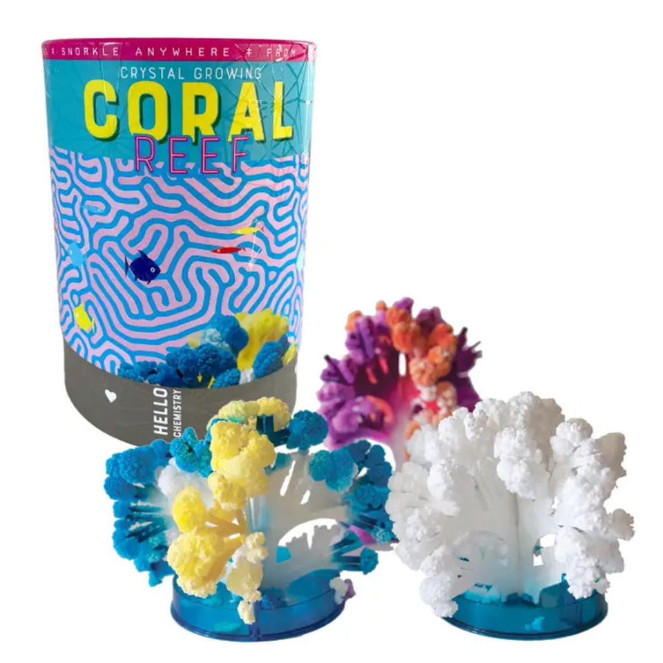 <p><a href="https://go.redirectingat.com?id=74968X1596630&url=https%3A%2F%2Flockwoodshop.com%2Fproducts%2Fcrystal-growing-coral-reef&sref=https%3A%2F%2Fwww.womenshealthmag.com%2Flife%2Fg37192856%2Fgifts-for-tween-girls%2F" rel="nofollow noopener" target="_blank" data-ylk="slk:Shop Now;elm:context_link;itc:0;sec:content-canvas" class="link ">Shop Now</a></p><p>Crystal Growing Coral Reef</p><p>lockwoodshop.com</p><p>$22.95</p>