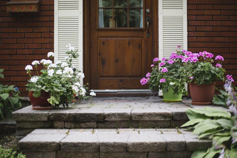 flower pot on a porch