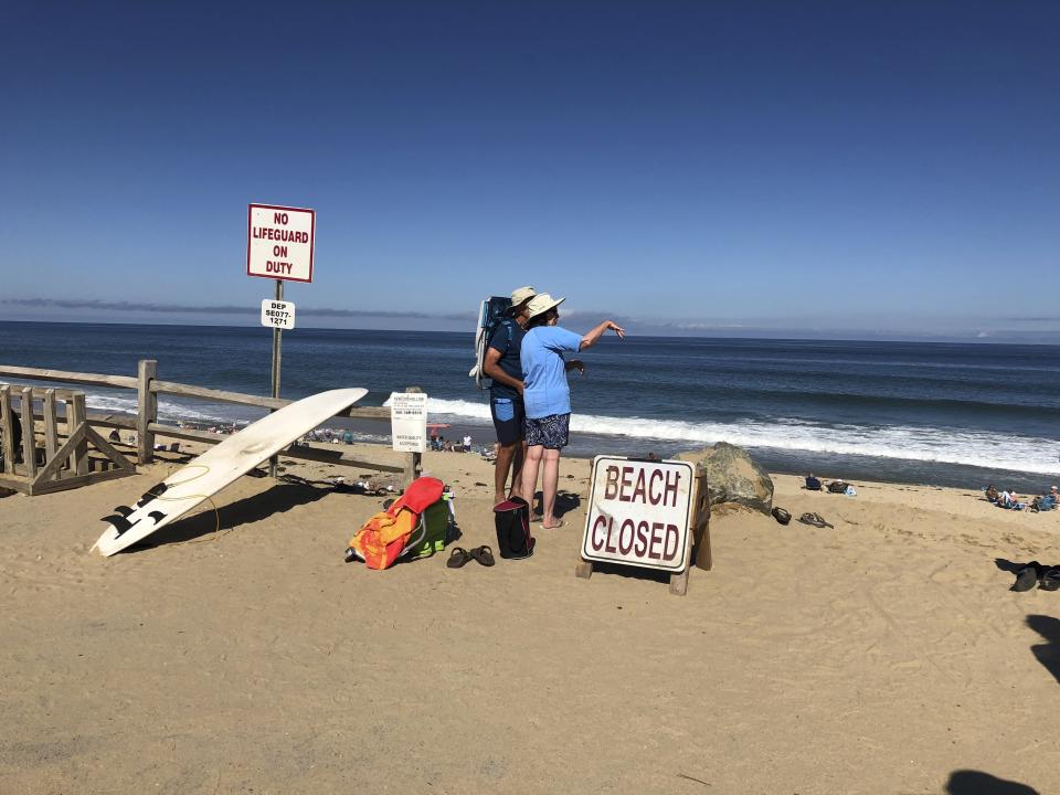 Engineering student Arthurt Medici was killed in a shark attack at Newcomb Hollow Beach in Wellfleet on Saturday.