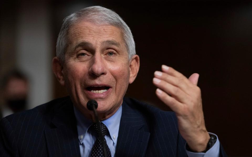Dr Anthony Fauci is the US director of the National Institute of Allergy and Infectious Diseases