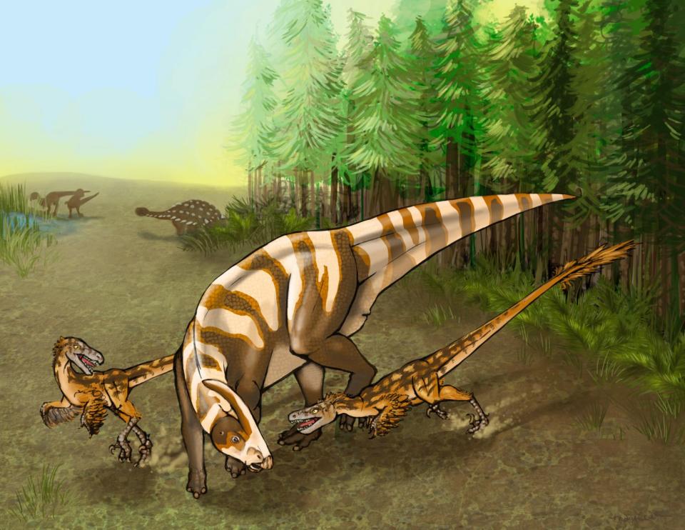 See those smaller dinos harassing a larger --&nbsp;but helpless -- hadrosaur? That's S. sullivani, a&nbsp;newly identified raptor that is <a href="http://www.huffingtonpost.com/2015/05/14/new-velociraptor-relative_n_7281032.html">thought to be totally deadly</a> thanks to a powerful sense of smell and its agility.&nbsp;&ldquo;Although it was not large," one scientist said, "this was not a dinosaur you would want to mess with."