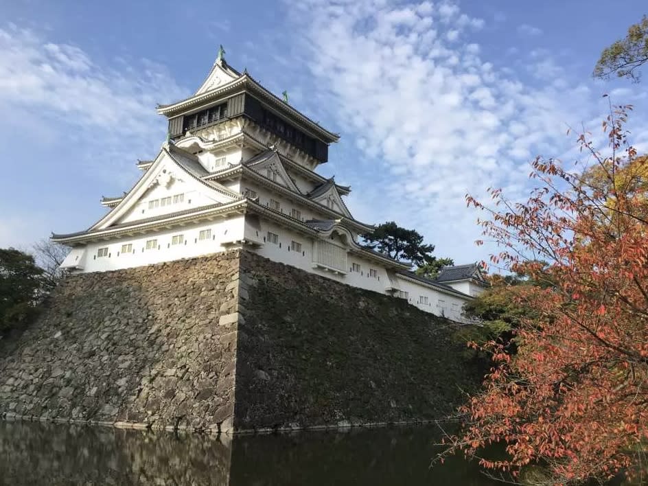 日本旅遊｜福岡紫藤花季必去景點！CNN「日本最美麗地方」河內藤園 110米長夢幻紫藤花隧道＋22種藤花花海