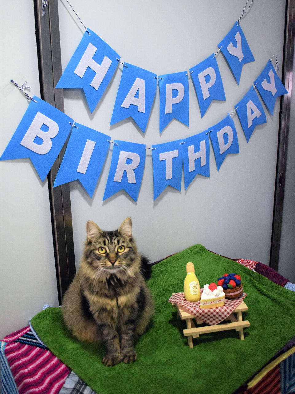 Happy birthday, Monique.&nbsp; (Photo: Battersea Dogs & Cats Home)