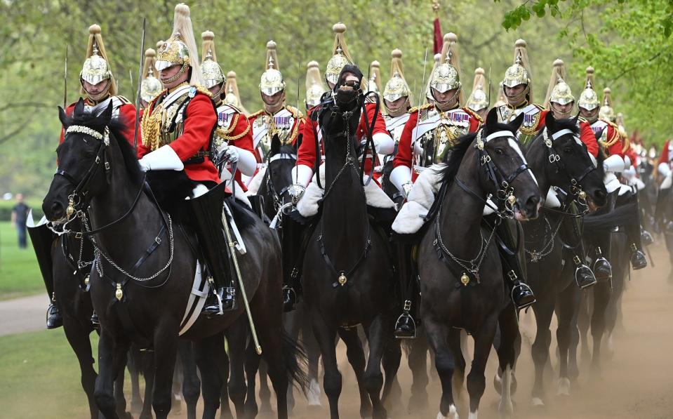 The Household Cavalry horses on Wednesday