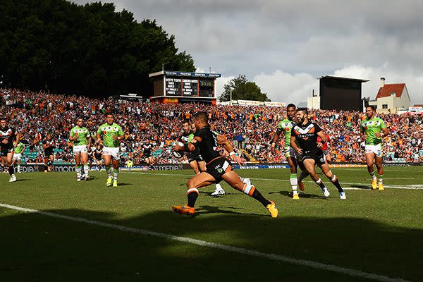 Leichhardt Oval on a perfect Sunday afternoon. Image: Getty