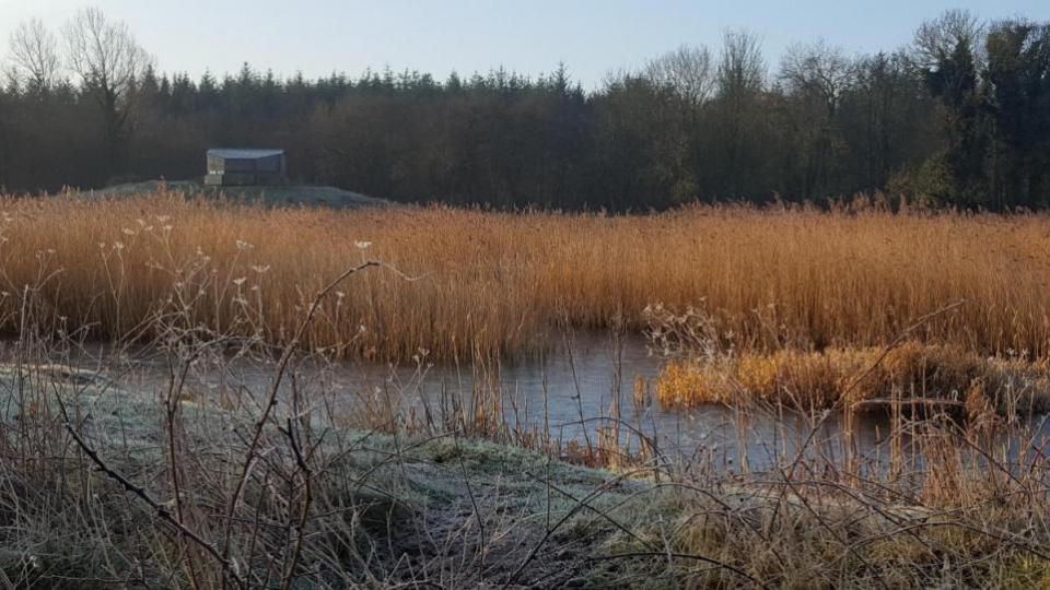 The Northern Echo: Low Barns Nature Reserve in Witton Le Wear