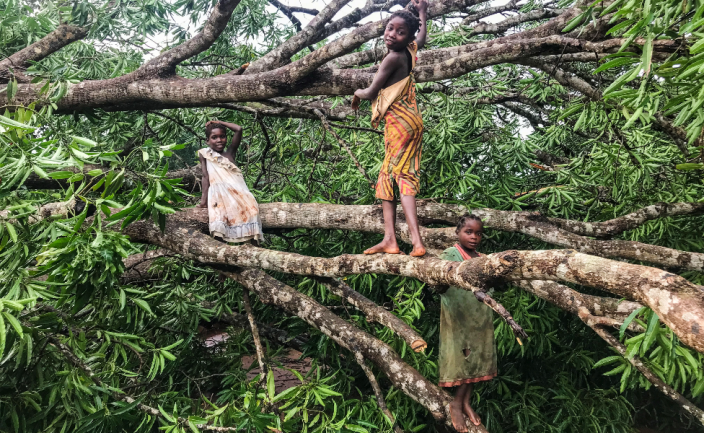 Children on a tree torn down by Cyclone Gombe in the district of Meconta, Mozambique - Saturday 12 March 2022