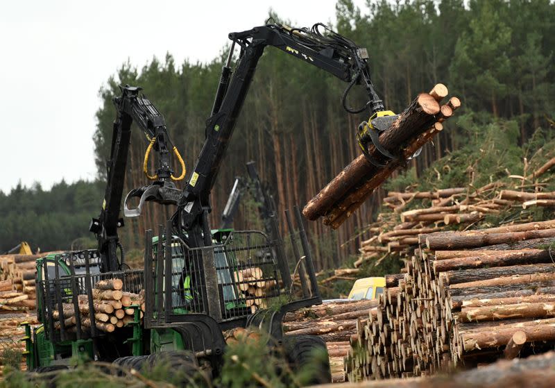 A worker clears trees at the area where U.S. electric vehicle pioneer Tesla plans to build a Gigafactory in Gruenheide