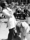 <p>Delighting his dog Martha during a performance in the U.K.</p>