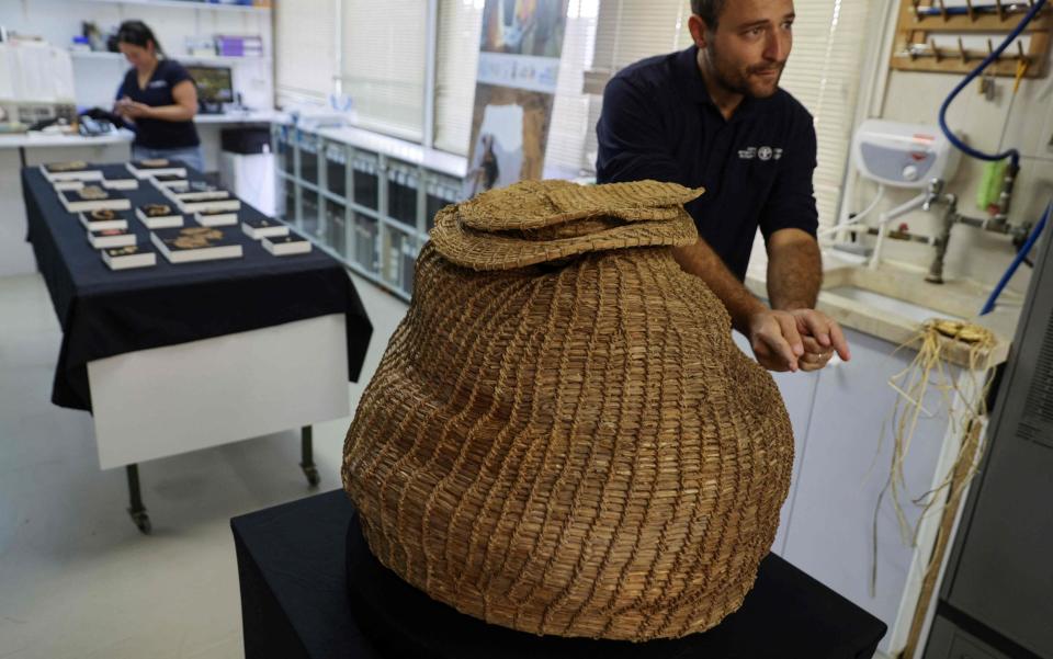 Archaeologist Haim Cohen shows a 10,500-year-old basket dating back to the Neolithic period that was unearthed in Murabaat Cave in the Judean Desert - MENAHEM KAHANA /AFP