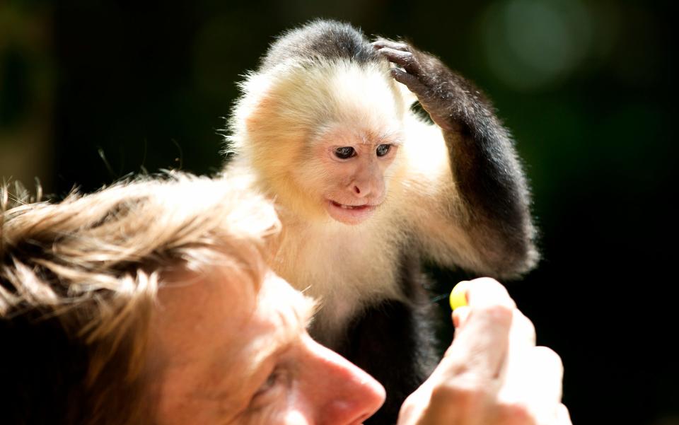 A man with a Capuchin monkey.