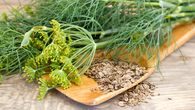 dill weed and seeds
