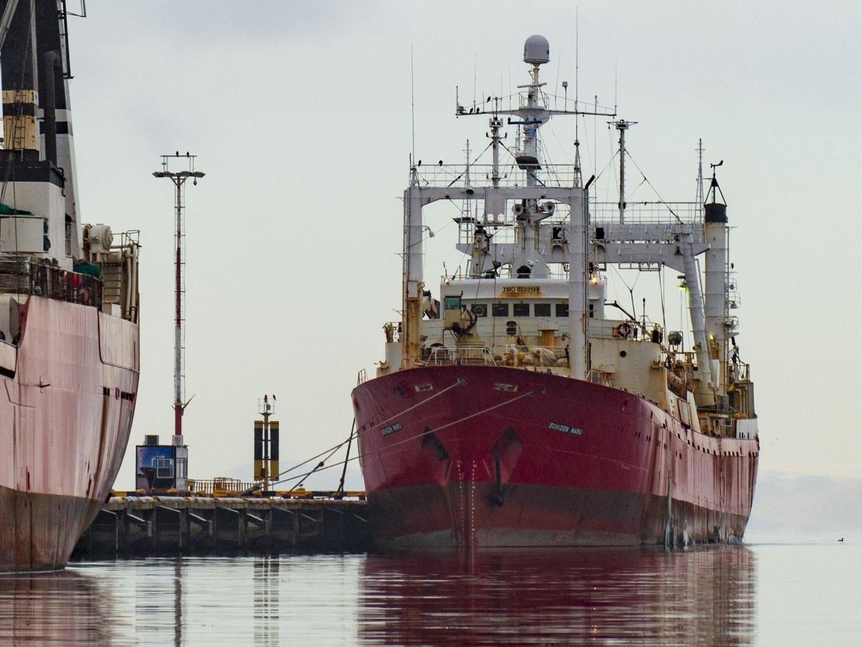 The Echizen Maru fishing trawler remains docked at Ushuaia's harbour in Tierra del Fuego Province: Alex Delelisi/AFP via Getty Images