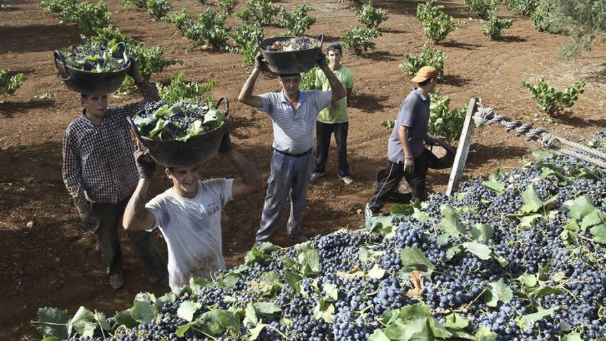 Trabajadores vitivinícolas negociaron aumento de sueldo