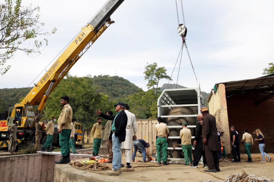 <p>Animal experts gather as a crane lifts up a crate carrying Kaavan, an elephant to be transported to a sanctuary in Cambodia.</p> (REUTERS)