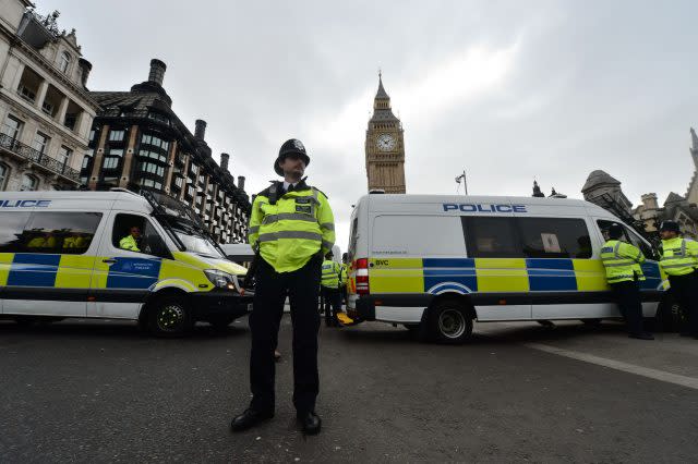 Police outside the Palace of Westminster