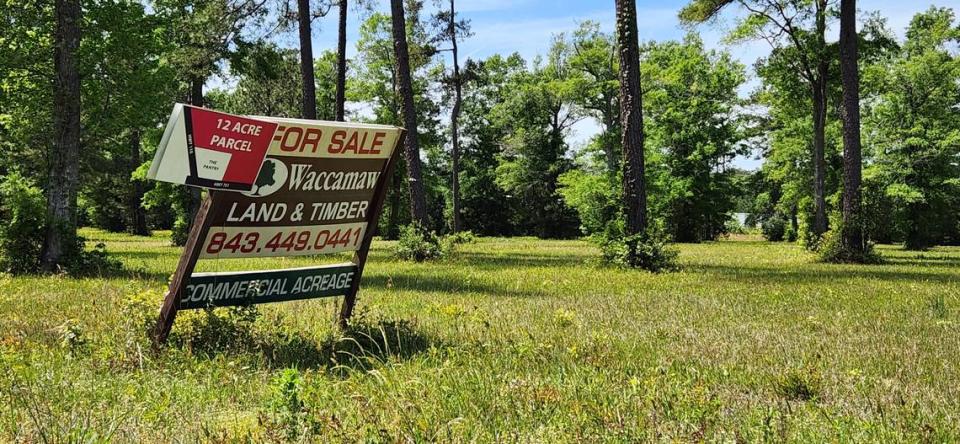 This 12-acre parcel at 3594 U.S. Highway 701 S. is expected to soon be annexed into Conway as part of a large mixed-use development in the area