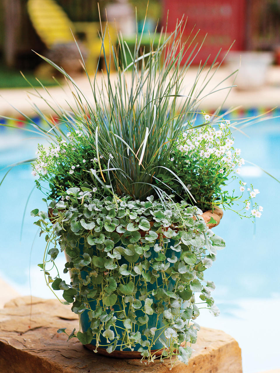 A container garden is the ultimate accessory for your porch, patio, or doorstep. These plants will keep you in style, even in the shade