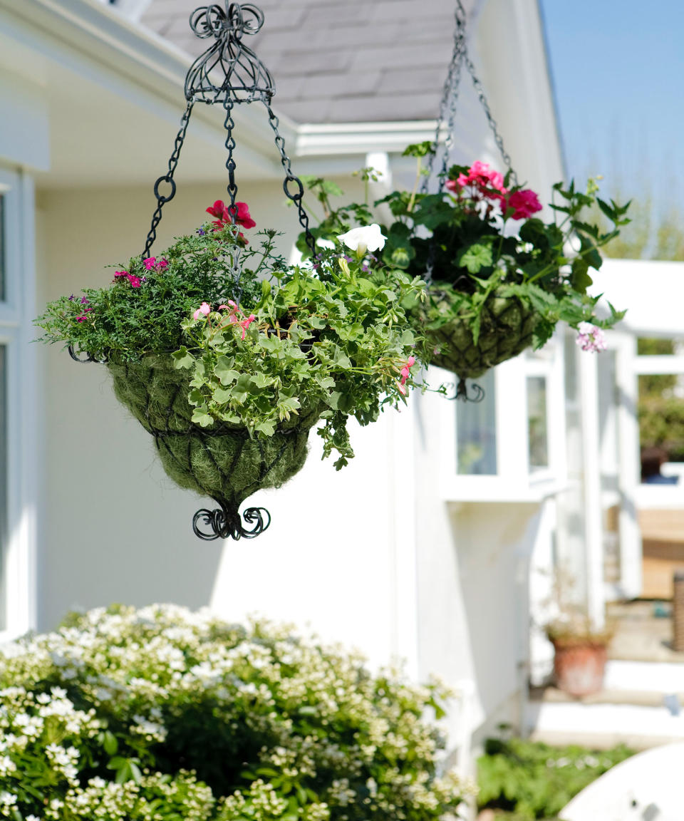 2. Direct eye level with fragrant hanging baskets