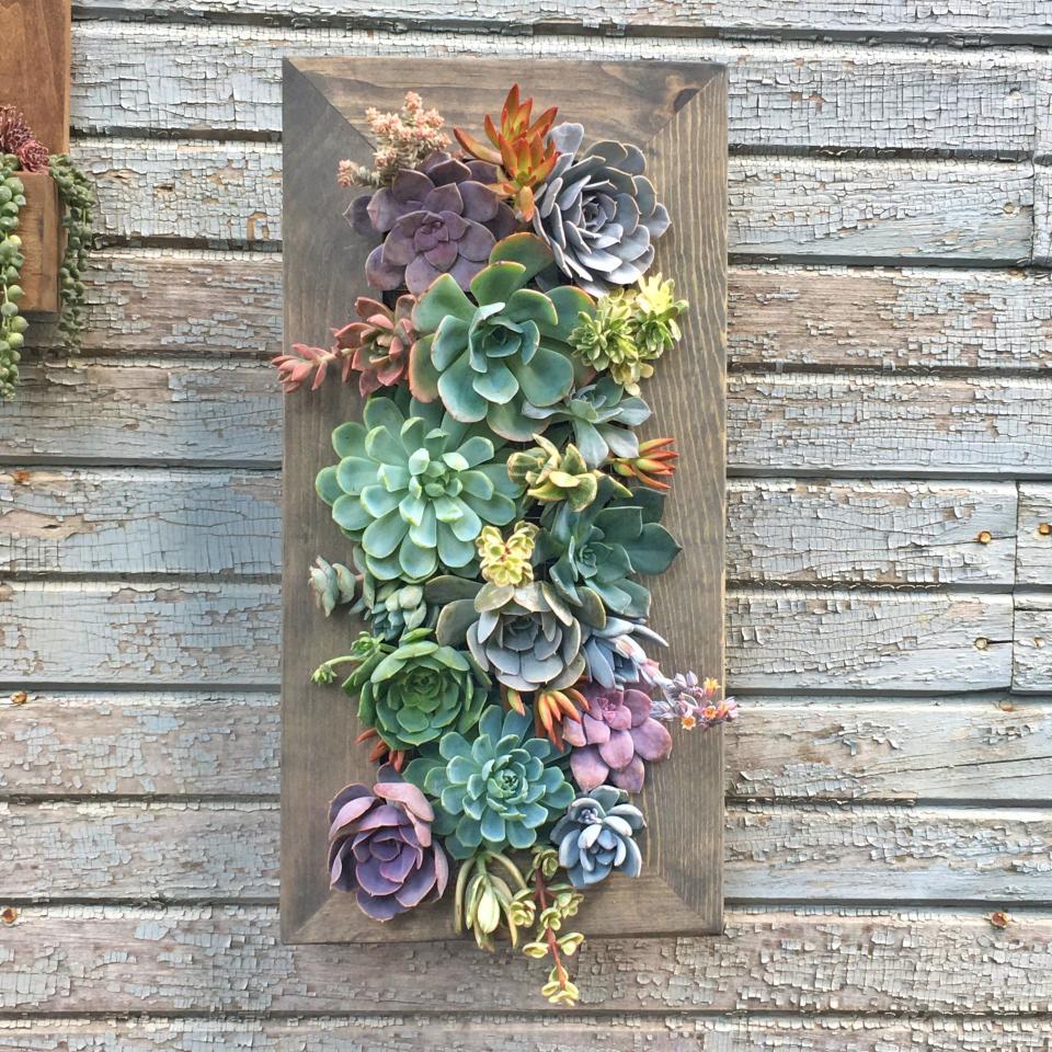 Vertical Succulent Garden