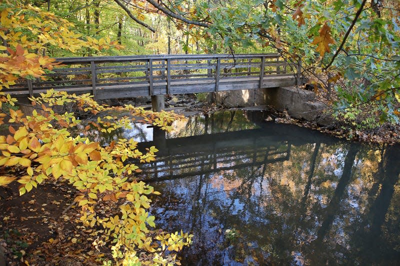 A photo of the trails at the 150-acre Flat Rock Brook Nature Center in Englewood.