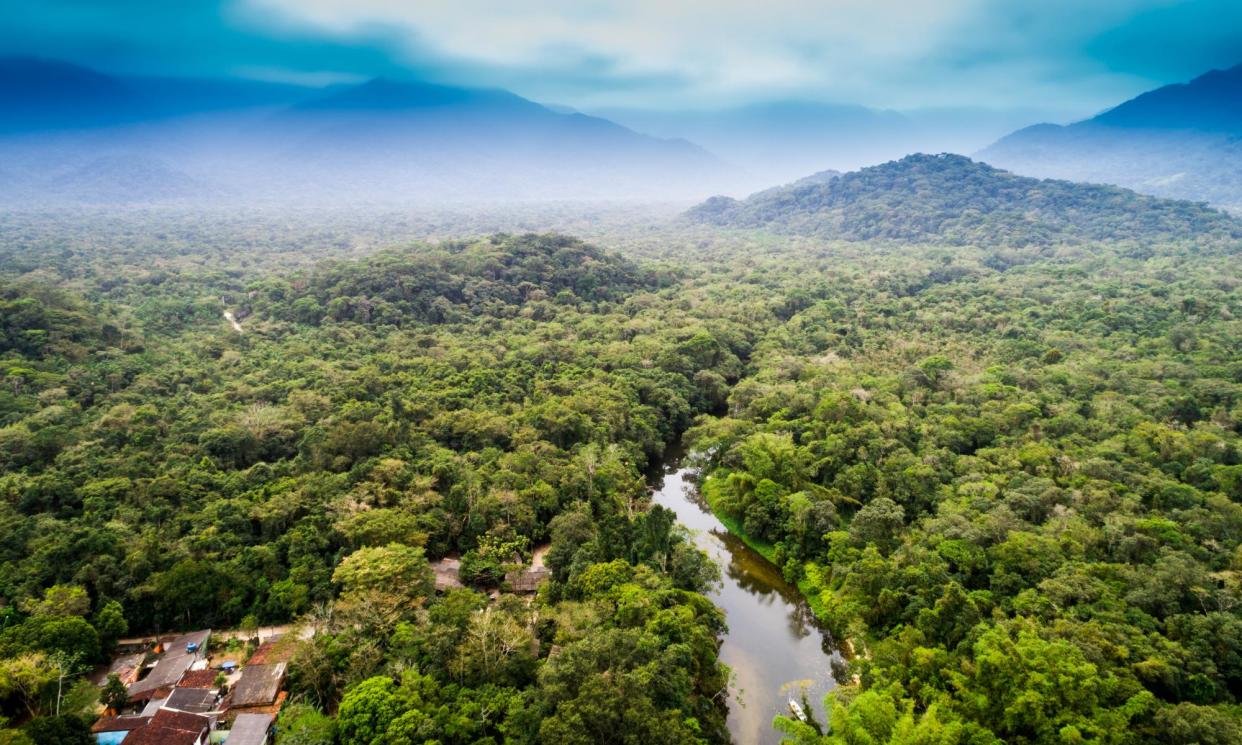 <span>‘As we motor downriver, I am musing on the gap between the reality of the Amazon and its outside image.’</span><span>Photograph: gustavofrazao/Getty Images</span>