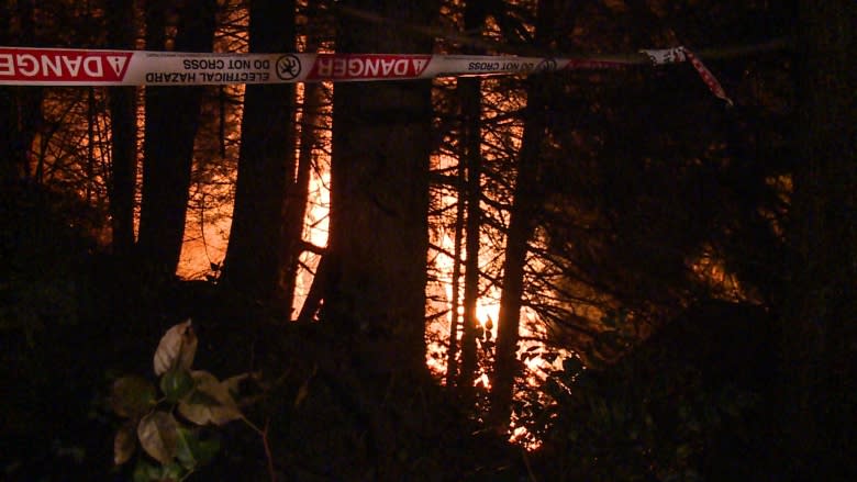 Former Bavarian Arms Café engulfed by large fire