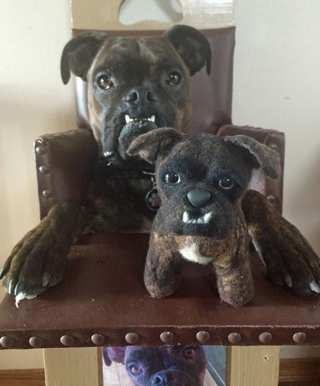 Gremlin was given a year to live, but his owner Chrissy refused to give up on him. Photo: Caters