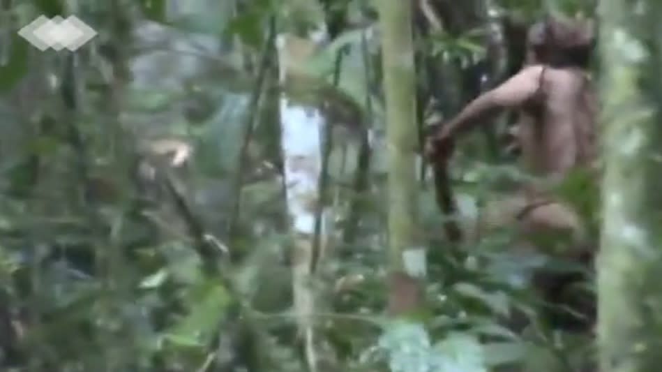 Der Mann schlägt im Video mit einer Axt auf einen Baum ein. (Bild: Screenshot/YouTube/Fundação Nacional do Índio via Storyful)