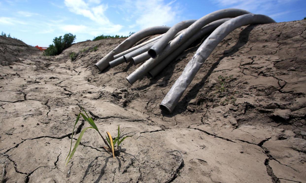 <span>Private investors are poised to profit from water scarcity in the west.</span><span>Photograph: Rich Pedroncelli/AP</span>